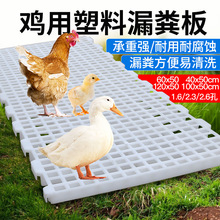 鸡用漏粪板塑料鸡舍漏屎地板家禽鸭鹅鸡鸽子漏粪养鸡用品设备全套