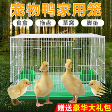 鸭子笼子 家用 室内小型宠物科尔鸭笼养鸭子的笼子家用柯尔鸭笼子
