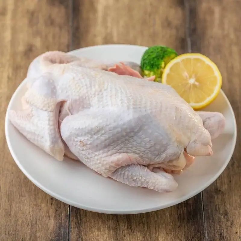 三黄鸡湛江农家散养鸡项靓阉鸡走地下单现白切月子