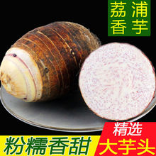 广西荔浦大芋头1/5斤9斤槟榔香芋毛芋条农家蔬菜新鲜现挖非小香芋