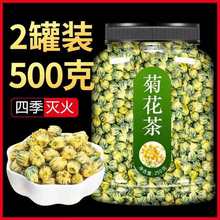 桐乡胎菊王杭白菊花然胎菊花组合花茶厂源工厂源头工厂一件批发