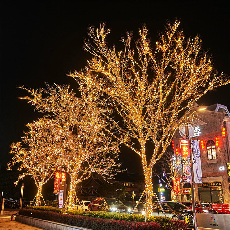 小彩灯闪灯串灯满天星七彩灯串氛围灯户外装饰灯串树灯景观霓虹灯