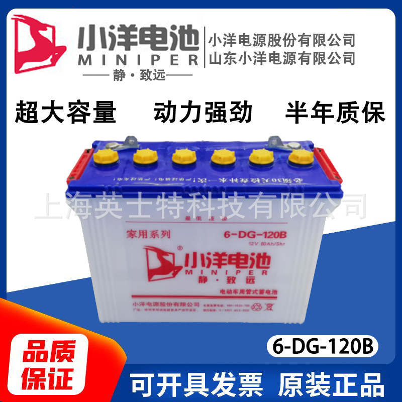 小洋蓄电池6-ev-120b/6-dg-120b电动三轮车叉车专用牵引水电瓶