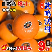 广西武鸣沃柑10斤新鲜水果当季整箱桔子沙糖蜜桔时令砂糖橘子橄榄