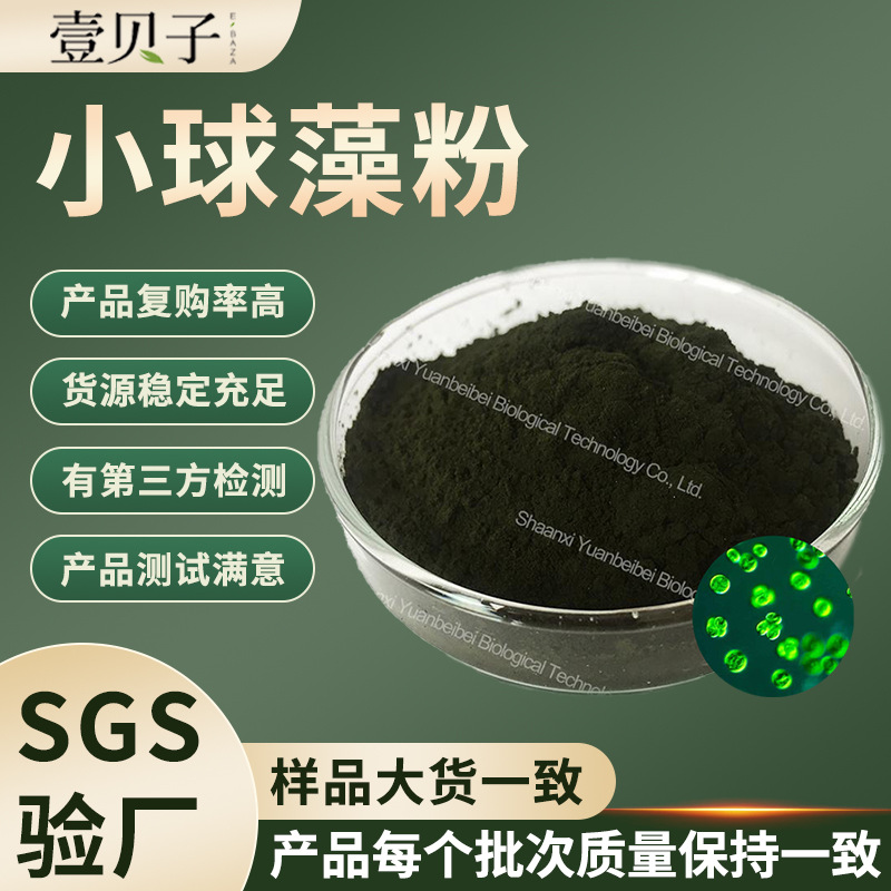 行业精选小球藻粉食品级小球藻提取物现货原料破壁蛋白核小球藻粉