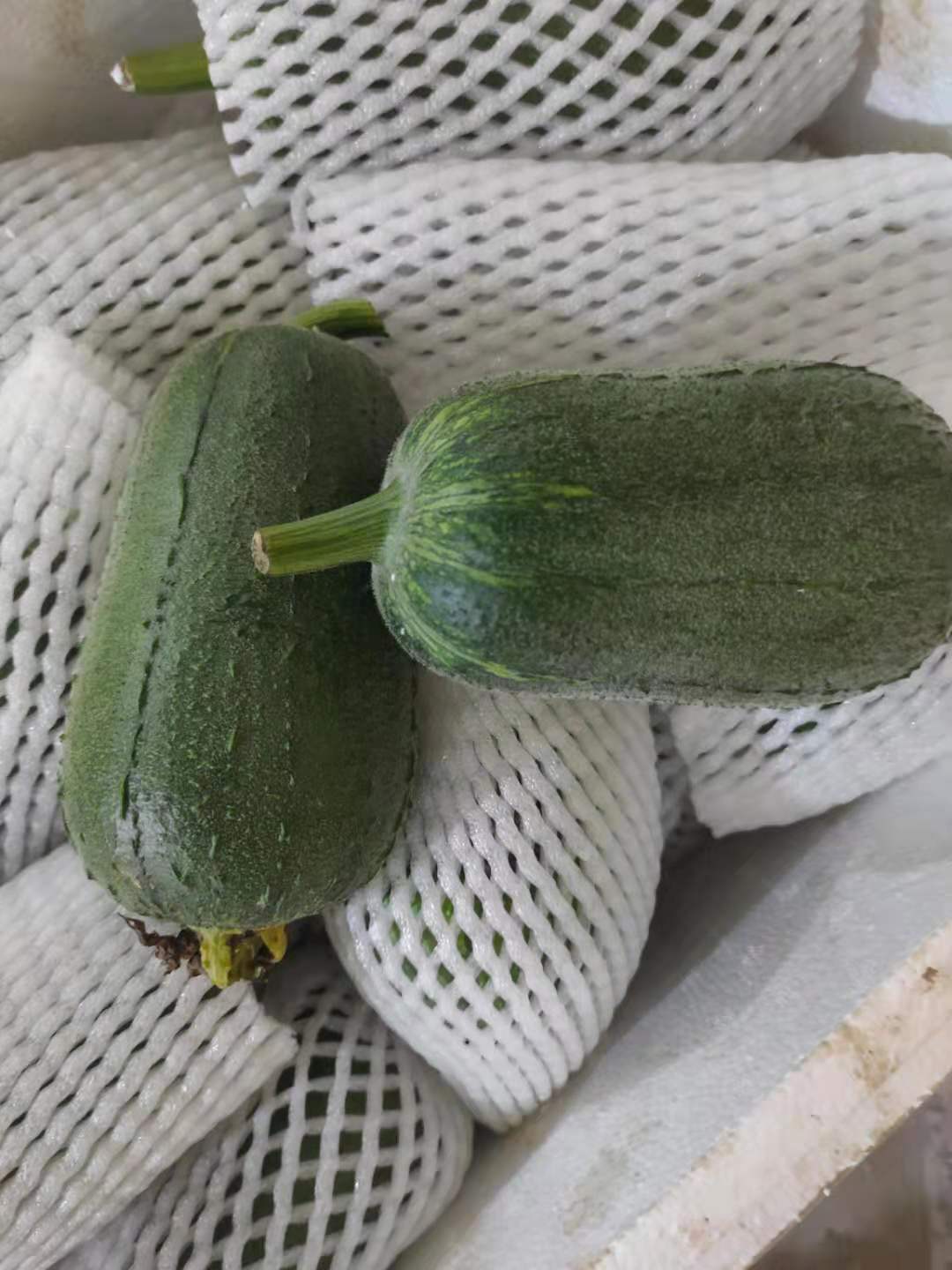 山东新鲜蔬菜苹果丝瓜圆丝瓜绿丝瓜短胖肉丝瓜发韵达支持一件代发