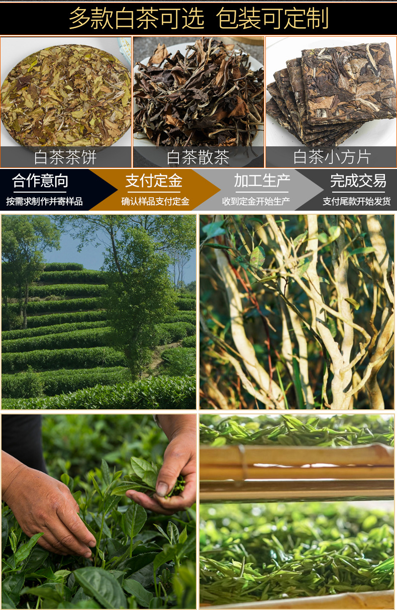 贡眉500克福鼎正宗老白茶茶叶果香枣香高山陈年寿眉茶散茶白牡丹