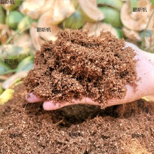 免泡散装椰糠土营养土种花种菜基质土泥炭土椰砖疏松土壤介质包邮