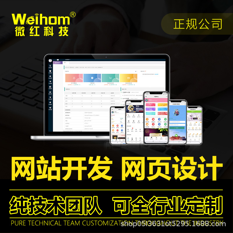 高端精美网页设计开发功能性网站手机电脑小程序官网系统制作