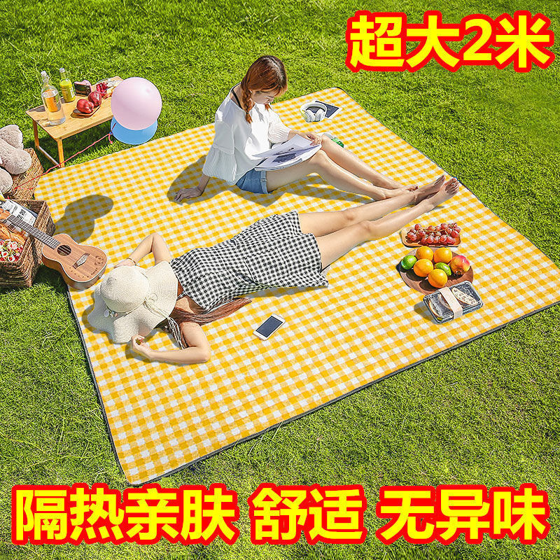Non-Woven Fabric Picnic Blanket Outdoor Picnic Outing Portable Waterproof and Moisture-Proof Liner Picnic Blanket Ins Style plus-Sized 350G