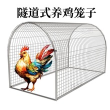 养鸡笼隧道隧道鸡笼走地鸡跑道养鸡笼子散养户外溜达鸡