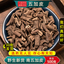 五加皮材500g 南五加皮五谷皮干五加皮根片根皮新货