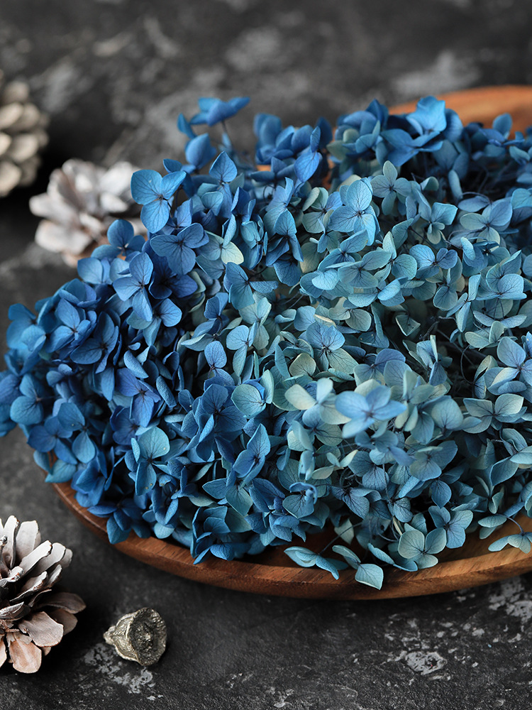 国产出口级a级安娜系列绣球永生花绣球广州进口永生花批发