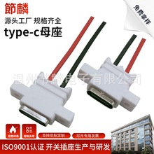 USB TYPE-C母座2P焊线防水带线typec防水充电口母头tyc电动剃须刀