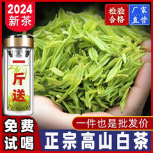 【送杯子】新茶嫩芽白茶高山毛尖绿茶500g浓香型嫩芽送礼包邮