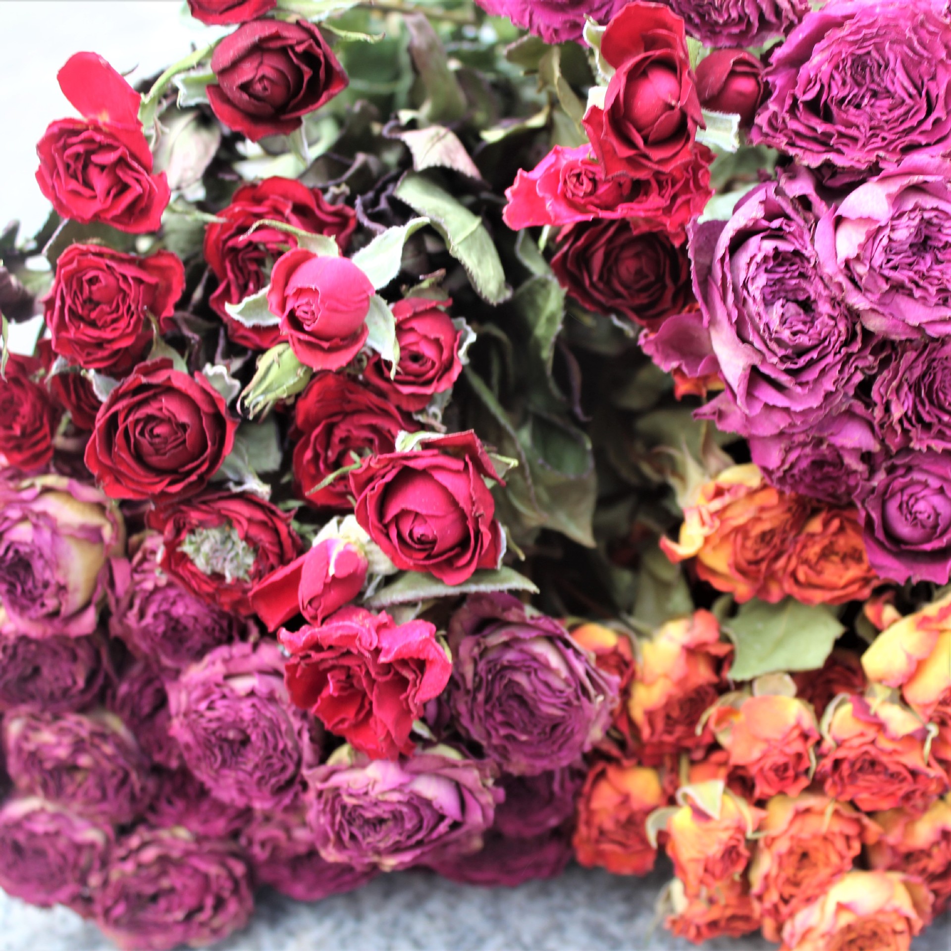 高品质迷你多头泡泡干玫瑰花束家居店铺客厅装饰复古元素