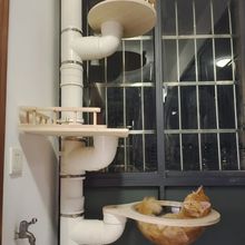 水管配件改造猫爬架猫抓板排水管跳台太空舱配件手工管道配件