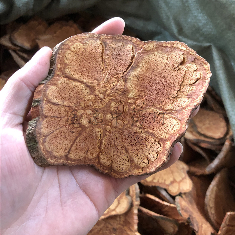 九龙藤过岗龙龙须藤九龙根过江龙