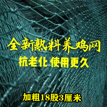 18股网聚乙烯网养鸡网围鸡网家禽养殖网围栏网户外菜园网栏鸡网天