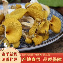 新货云南特产丽江农家鸡油菌鸡油黄煲汤香菇类食用菌菇干货100g