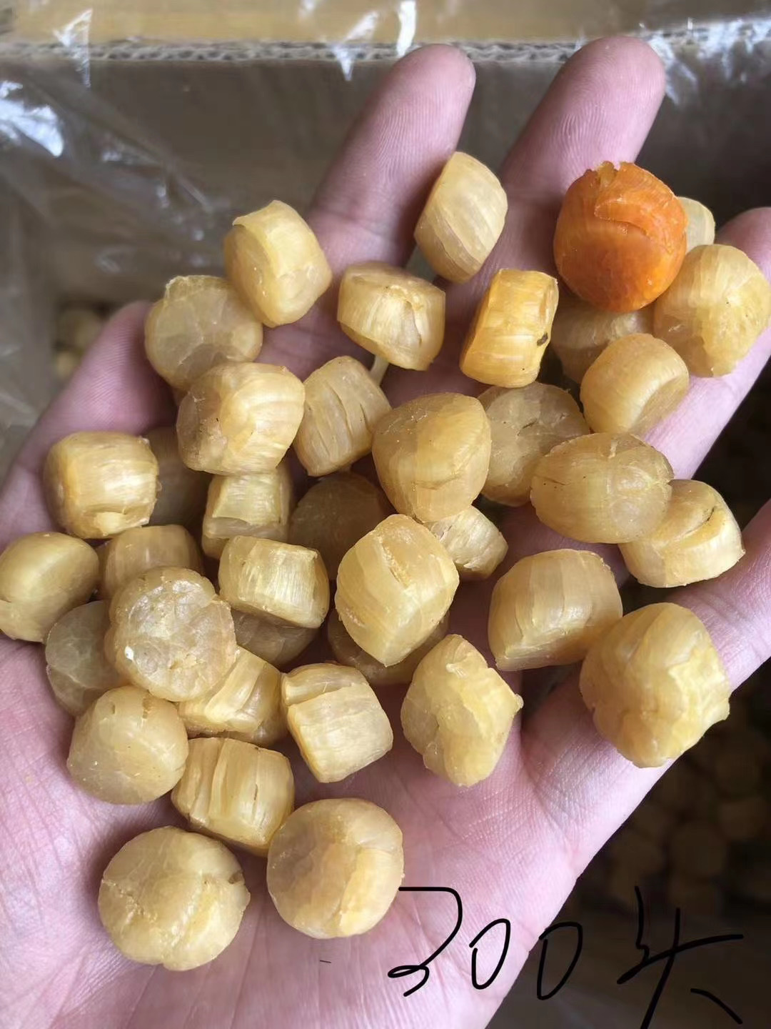 干贝 瑶柱 扇贝 全淡足干元贝300头 水产海鲜干货 食用农产品批发