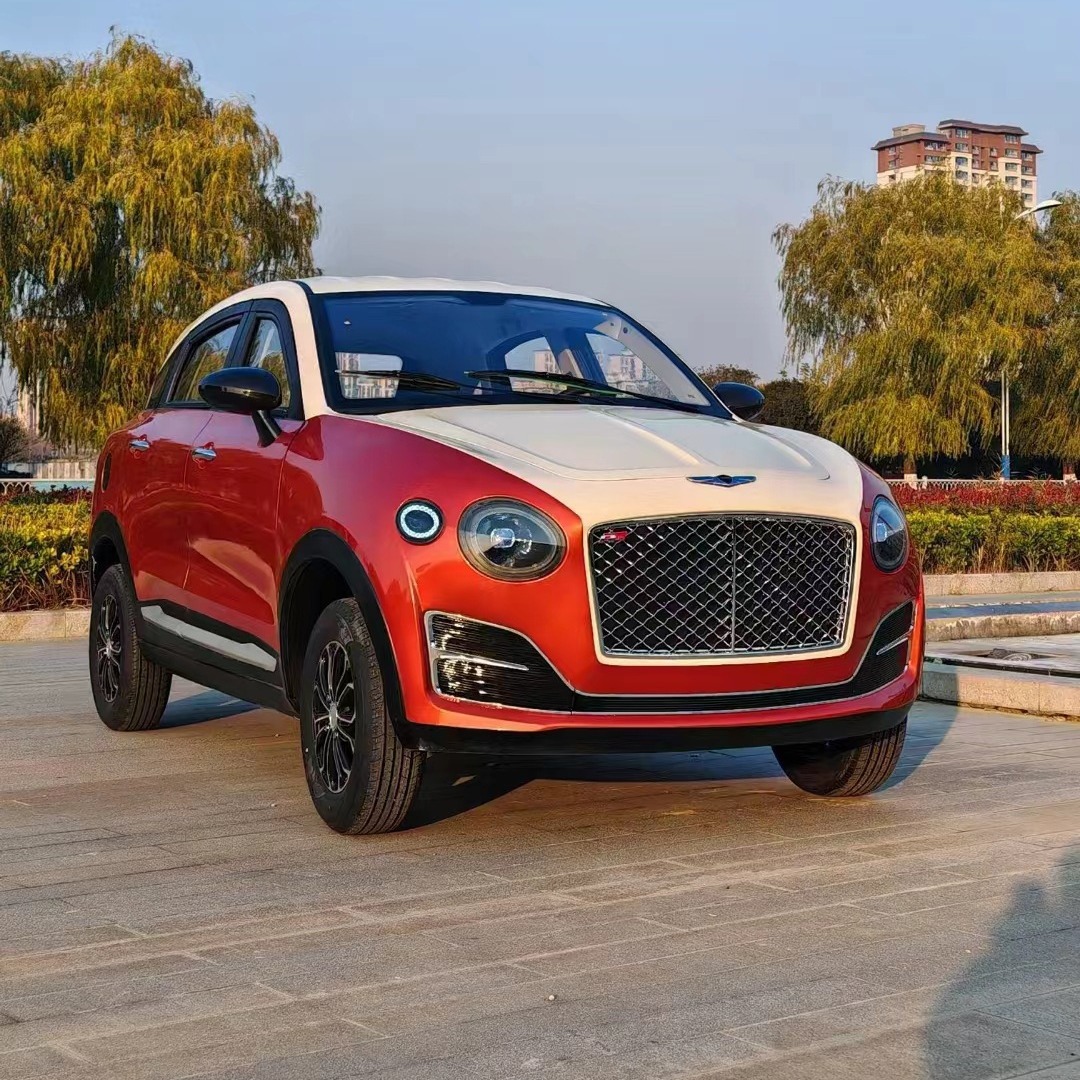 老头乐电动四轮车电动汽车新能源女士四轮电动车家用-阿里巴巴