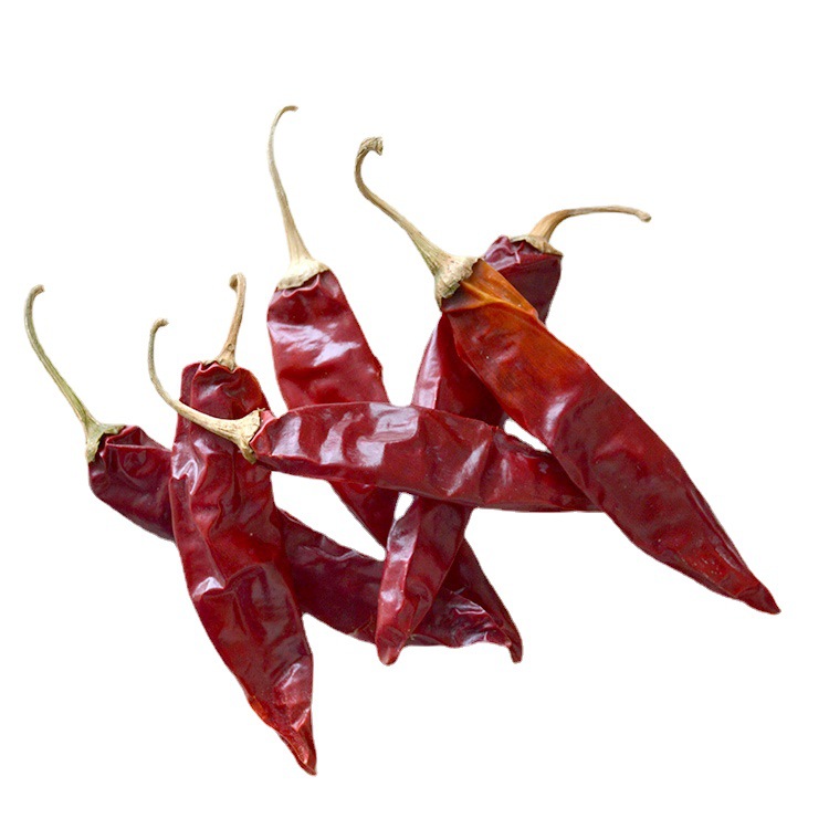 新疆红龙十三红辣椒品质保证新疆红辣椒带把1000g