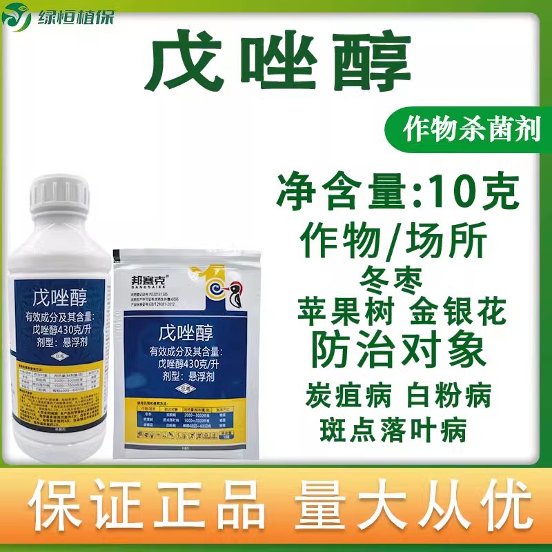 点击查看大图