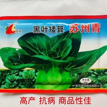 黑叶矮脚油亮苏州青青菜种子四季播高产耐寒黑叶白菜秋冬蔬菜种子