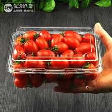 500克水果盒一次性1斤水果包装盒草莓金桔打包盒带盖塑料盒子