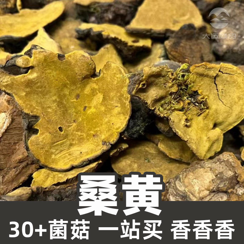 桑黄1kg食品级菌菇原料干散货black hoof mushroom-阿里巴巴