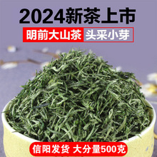 批发定制明前茶叶信阳毛尖2024新茶高山栗香小芽自产自销绿茶500g