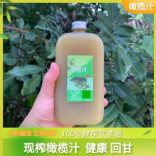 橄榄汁新鲜青橄榄压榨 清爽回甘余甘汁油柑汁福建青果汁手工ml