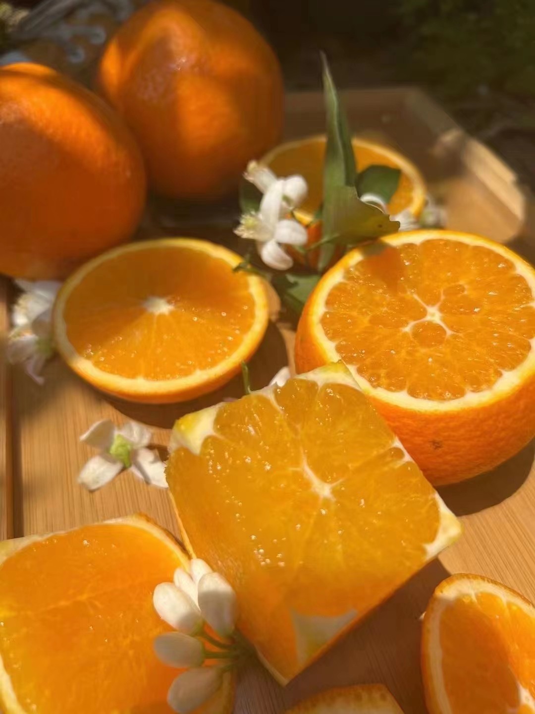 湖北秭归伦晚脐橙5斤9斤伦晚脐橙橙子一件代发