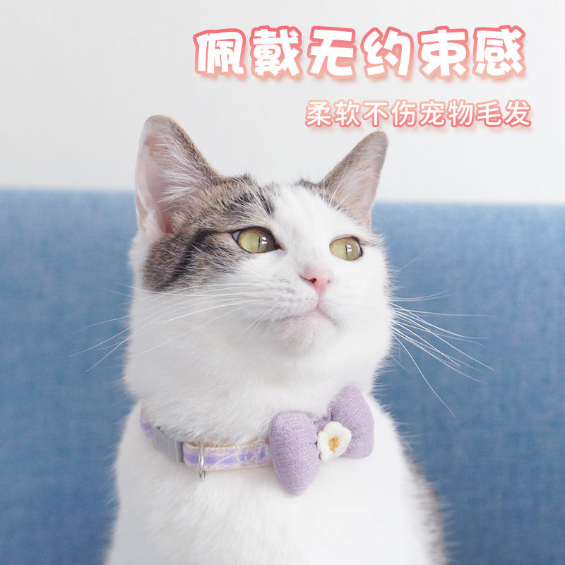 猫咪项圈防锁死安全脖套蝴蝶结猫颈饰品小型犬狗项圈宠物用品批发