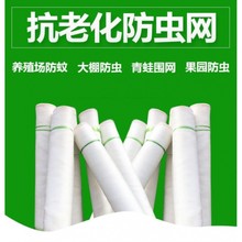 果园网尼龙网沙网蔬菜网网罩农用养殖网加厚蝗虫防鸟网防虫网