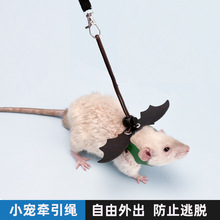 仓鼠花枝鼠蜜袋鼯牵引绳溜鼠绳金丝熊绳锻炼小宠物刺猬绳子用品