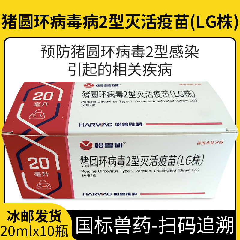 哈兽研 猪圆环病毒2型灭活疫苗lg株 哈尔滨维科猪疫苗 小猪疫苗