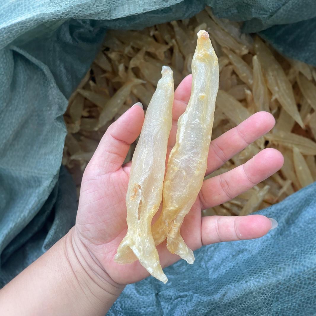 批发鸡蛋胶花胶鱼胶原蛋白500g淡水巴沙胶芒鱼胶干货非即食黄花胶