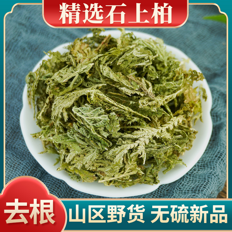 野生石上柏500g克材石上柏石柏新鲜干货地柏草地侧柏叶-阿里巴巴