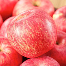 苹果水果产地直发陕西洛川脆甜大果红富士新鲜5/0斤零食跨境厂家
