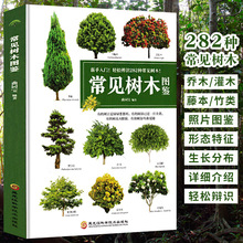 正版彩图常见树木图鉴282种生态形态季节学名划分乔木灌木藤本竹