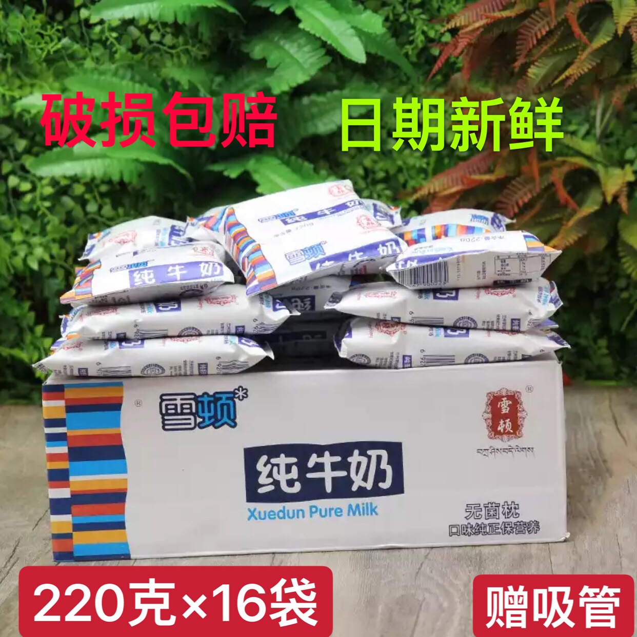 雪顿纯牛奶 整箱早餐奶促销西北高原奶兰州无菌枕220g*16袋装包邮