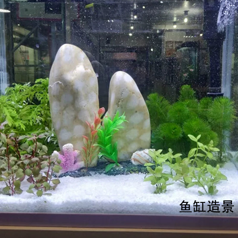 鱼缸造景肌理砂种水草过滤造景平衡鱼缸水质寄居蟹沙子小鱼便底沙