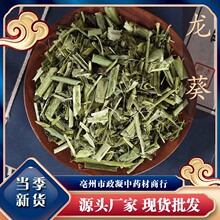 中药材 龙葵草 天茄子 龙葵 黑天天 黑茄子龙葵新货500g包邮