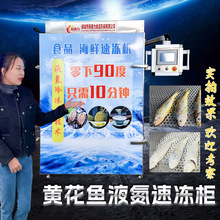 黄花鱼低温急速海鲜食品速冻机  黄瓜鱼金龙鱼大容量冷冻设备厂家