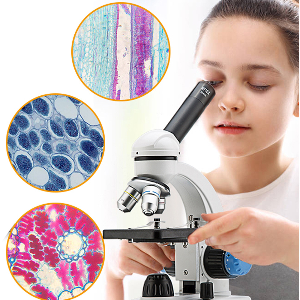 光学显微镜切片