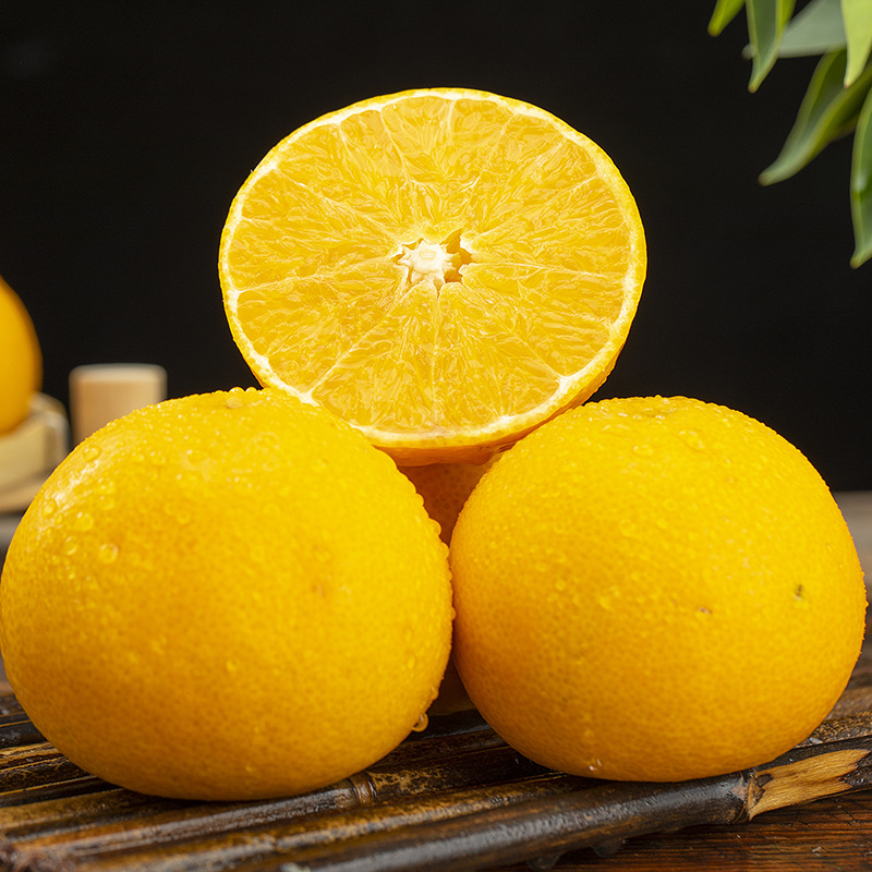 现摘现发四川眉山丹棱爱媛桔橙薄皮橘子果冻橙5斤手剥橙一件代发