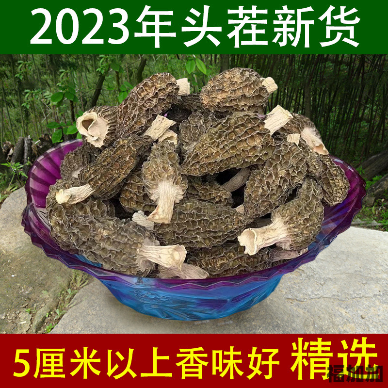 2024年新货头茬仿野生羊肚菌干货精选500g羊肚蘑香味很好非云南货