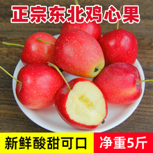 东北鸡心果5斤装包邮特产小苹果锦绣海棠果新鲜孕妇水果
